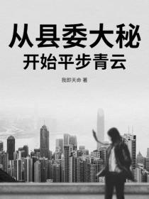從縣委大秘開始平步青雲
