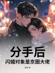 分手後，閃婚對象是京圈大佬