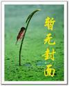 小股民修仙傳
