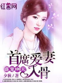 盛寵100天:首席愛妻入骨
