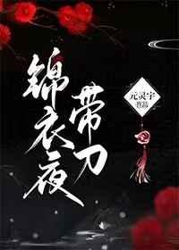 錦衣夜帶刀