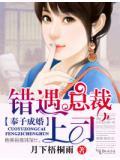 奉子成婚,错遇总裁上司