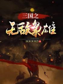 三国之无敌枭雄