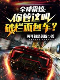 全球震驚：你管這叫破爛麵包車？