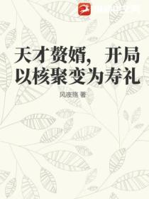 天才贅婿，開局以核聚變為壽禮