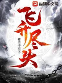 飞升尽头