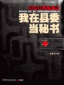 我在縣委當秘書