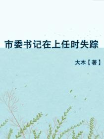 市委書記在上任時失蹤