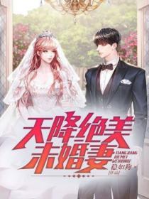 天降絕美未婚妻