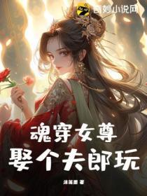 魂穿女尊，娶个夫郎玩