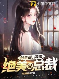 分手後，閃婚絕美女總裁