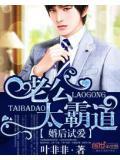 婚后试爱:老公太霸道