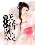 邪王的天价宠妃