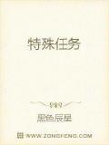 特殊任务