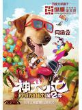 神犬小七