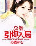 总裁,引你入局