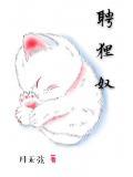 聘狸奴