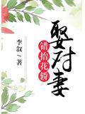 错抬花轿娶对妻