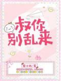 叔,你别乱来