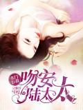 名门公敌:吻安,陆太太