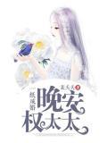一纸成婚:晚安,权太太