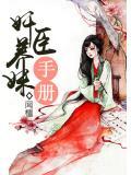 首辅养成手册