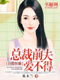旧爱新妻:总裁前夫爱不得