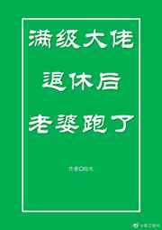 满级大佬退休后老婆跑了