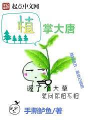 植掌大唐