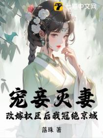 宠妾灭妻？改嫁权臣后我冠绝京城