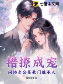 错撩成宠，闪婚老公是豪门继承人