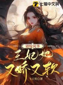 错嫁风华：王妃她又娇又软