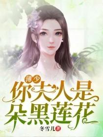 薄少你夫人是朵黑莲花