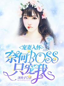 奈何boss隻寵我