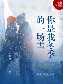 你是我冬季的一場雪