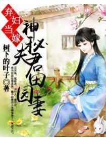 棄婦當嫁神秘夫君田園妻