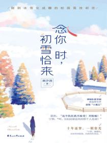 念你時，初雪恰來