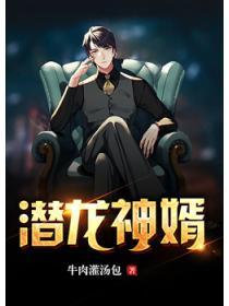 潜龙神婿
