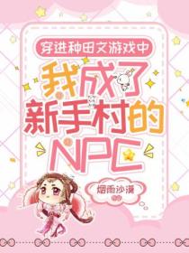 穿进种田文游戏中我成了新手村的NPC