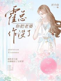 霍总你把老婆作没了