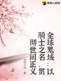 全球鬼域：以骑士之名，贯彻世间正义