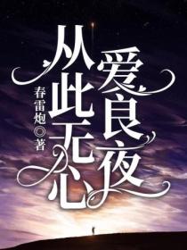 从此无心爱良夜