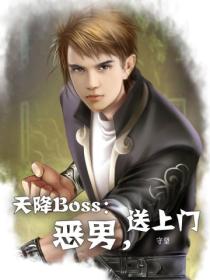 天降Boss：惡男，送上門