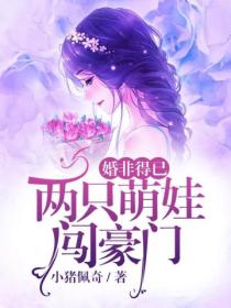 婚非得已：两只萌娃闯豪门