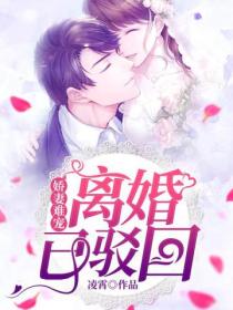 嬌妻難寵：離婚，已駁回