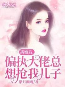 離婚後，偏執大佬總想搶我兒子