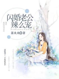 閃婚老公辣麽寵