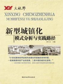 大视野系列--新型城镇化模式分析与实践路径