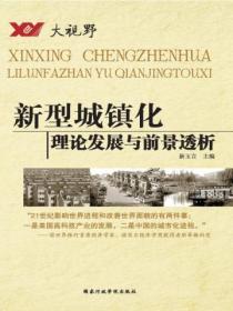 大视野系列--新型城镇化理论发展与前景透析