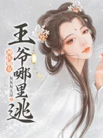 神医嫡女：王爷哪里逃！